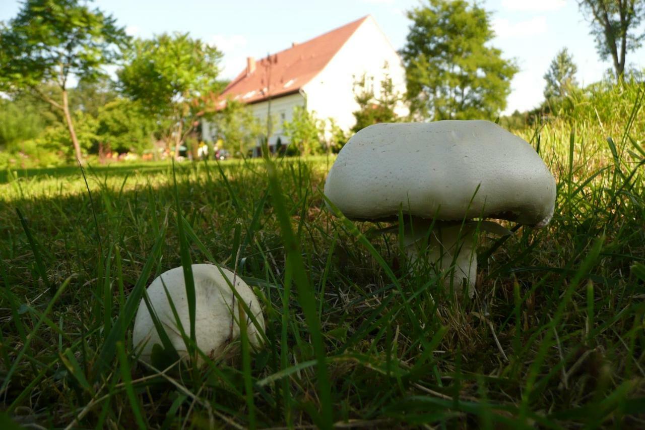 Miodowy Dwor Villa Rusinowo  Екстериор снимка